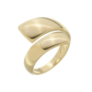 ANEL DUAS HASTES GROSSAS - BANHADO A OURO
