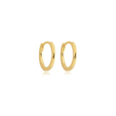 BRINCO ARGOLA LISA FINA PEQUENA - BANHADO A OURO (T-G)