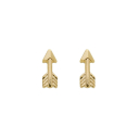 BRINCO SETA PEQUENA - BANHADO A OURO