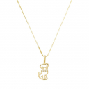 COLAR CACHORRO COLEIRA CRAVEJADA - BANHADO A OURO