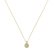 COLAR GOTA CRAVEJADA - BANHADO A OURO