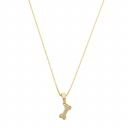 COLAR OSSO CRAVEJADO - BANHADO A OURO